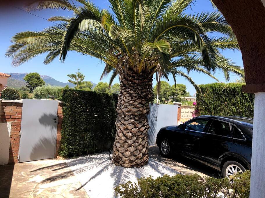 Villa Climatisee Bord De Mer Avec Piscine Privee Miami Playa Bagian luar foto